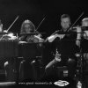 Streichquartett "Atlantis" (Karin Liljenberg (Violin 1), Andreas Forsman (Violin 2), Erik Holm (Viola), Cecilia Linné (Cello))